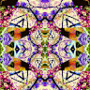 Meet your Posher, Mark